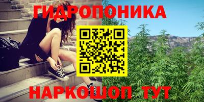 дживик Партизанск