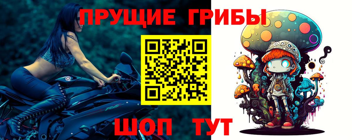 Галлюциногенные грибы GOLDEN TEACHER  Вход с VPN  как найти наркотики  Псилоцибиновые грибы Magic Shrooms  Пугачёв 